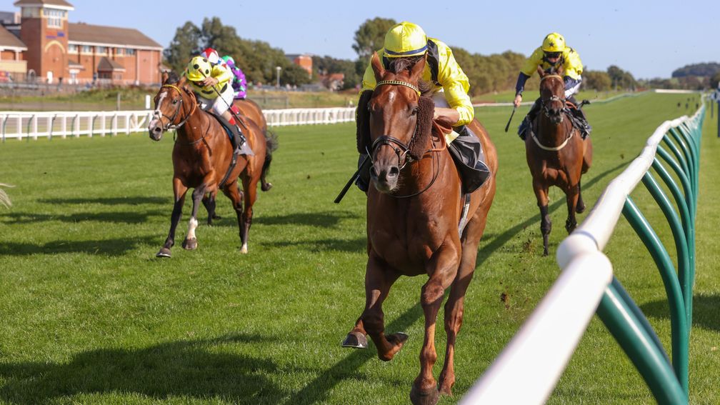 Addeybb won a high-quality Doonside Cup in 2020