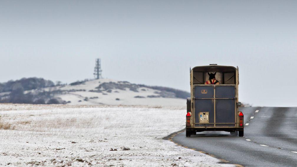 A horse box makes a journey across the wintery landscape at the Curragh