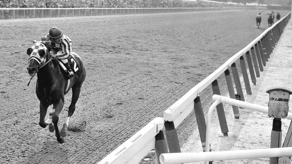 Secretariat raced into the ever glow of immortality in the 1973 Belmont Stakes. His victory, by one of the widest margins in the history of the American turf â 31 lengths ahead of his nearest challenger and in a world record time for the 1 1/2 miles dis
