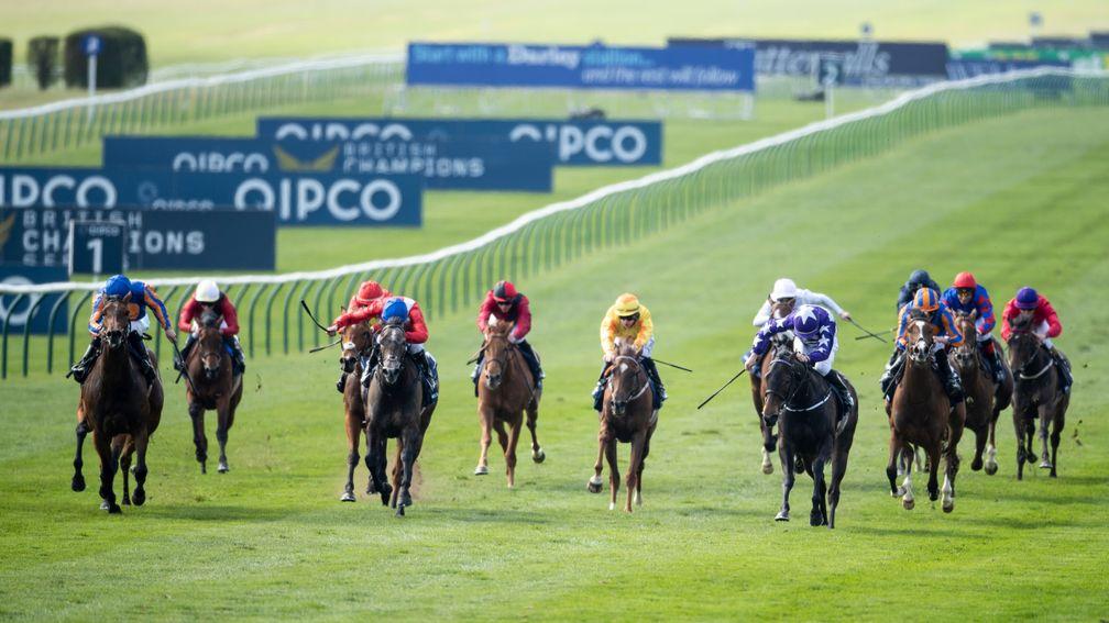 Who will succeed Hermosa on the Qipco 1,000 Guineas roll of honour?