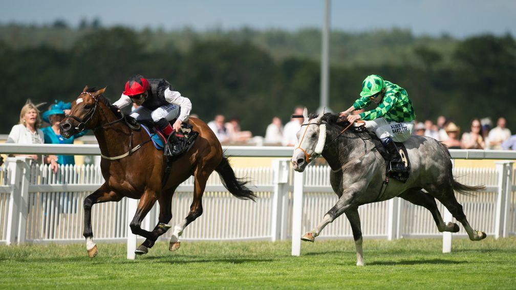 Free Eagle and Pat Smullen beat The Grey Gatsby in the Prince of Wales's Stakes