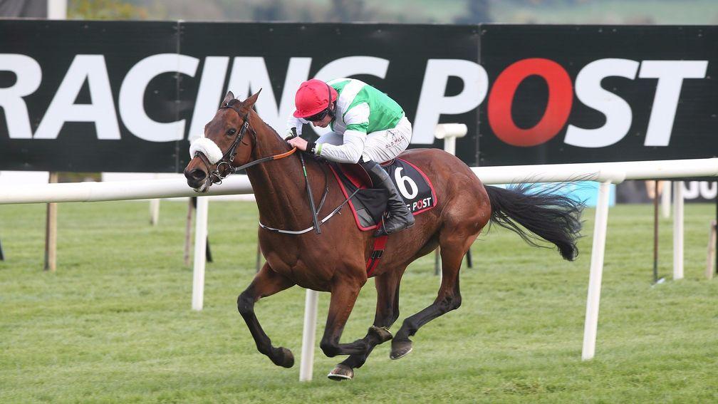 Fayonagh: the ill-fated mare fit the 'could be anything' bracket