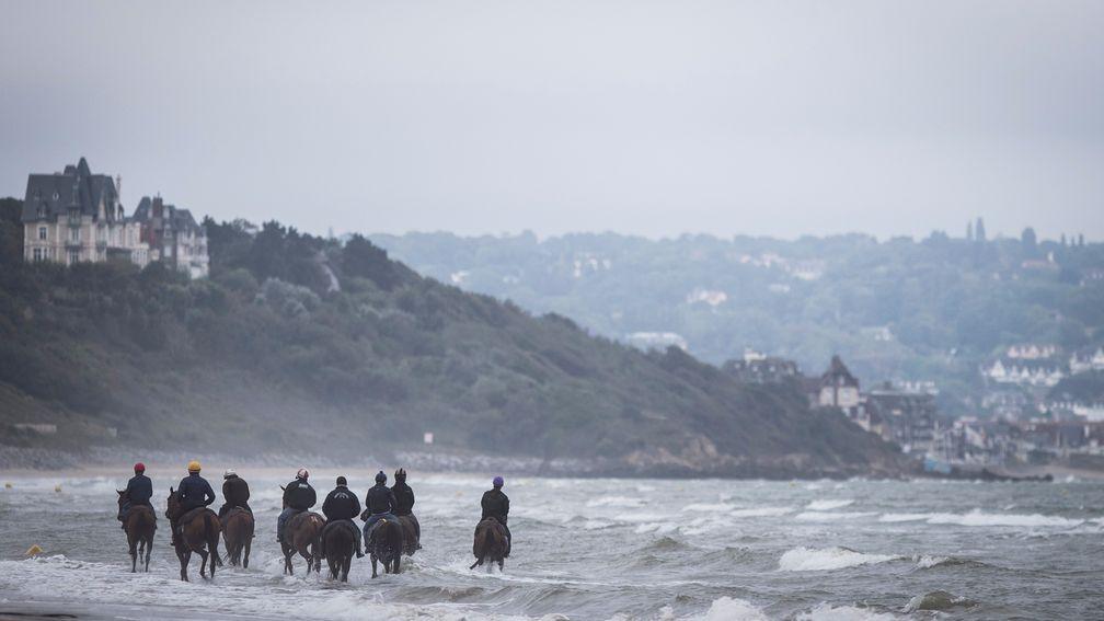 A group of racehorses heading up the beach at Deauville on Monday