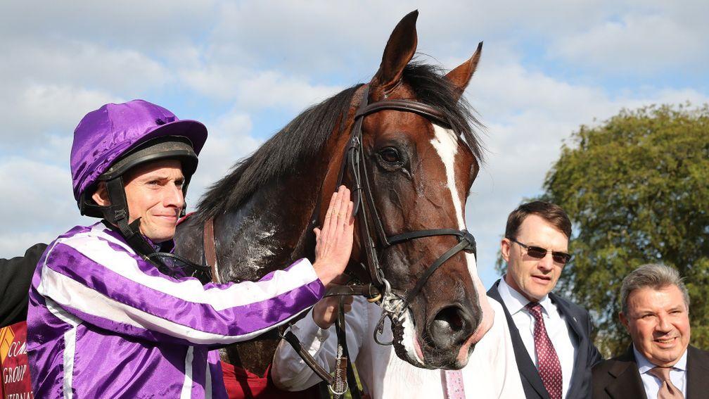 Southern France: has been purchased by Australian owners to run in the Melbourne Cup