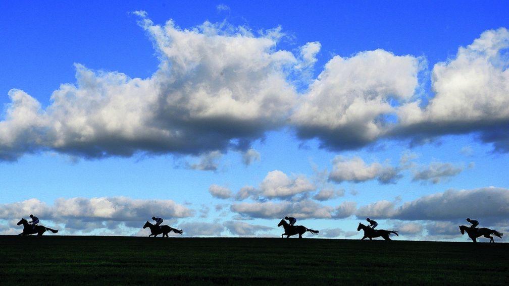 Wincanton racecourse: on lookout for new clerk of the course