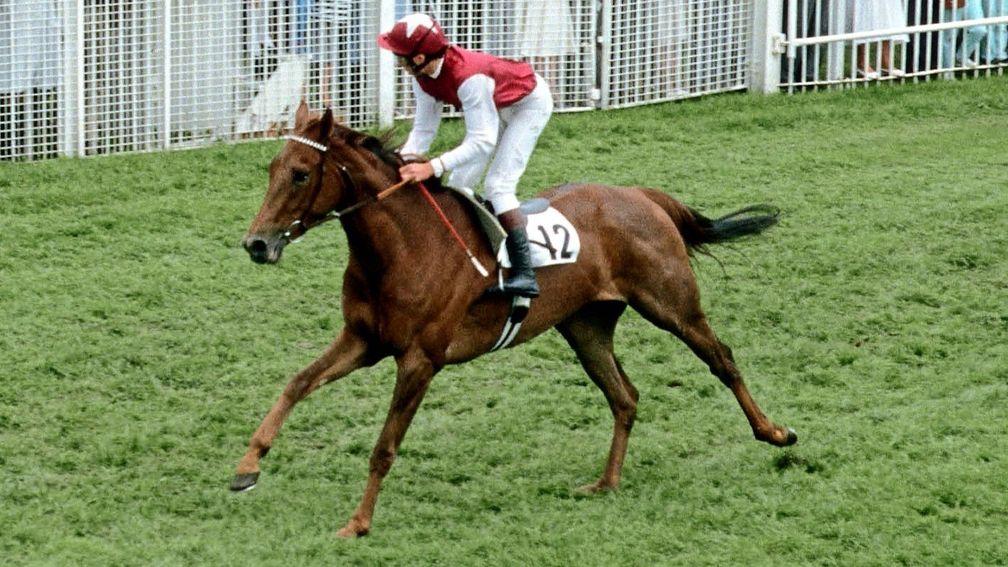 Oh So Sharp  wins the 1985 Oaks, the middle leg of her Triple Crown, under Steve Cauthen
