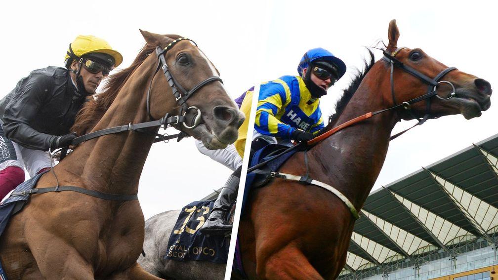 Stradivarius (left) and Trueshan: star stayers do battle in Friday's Lonsdale Cup at York