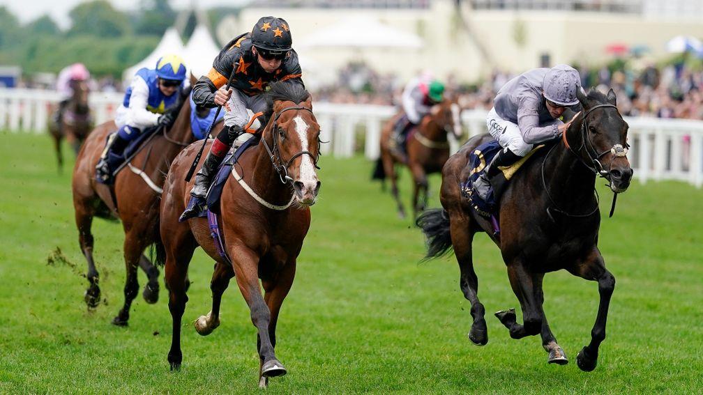 Rohaan (black and orange): the 20,000gns horses-in-training sale purchase looks an almighty bargain after landing the Wokingham Stakes