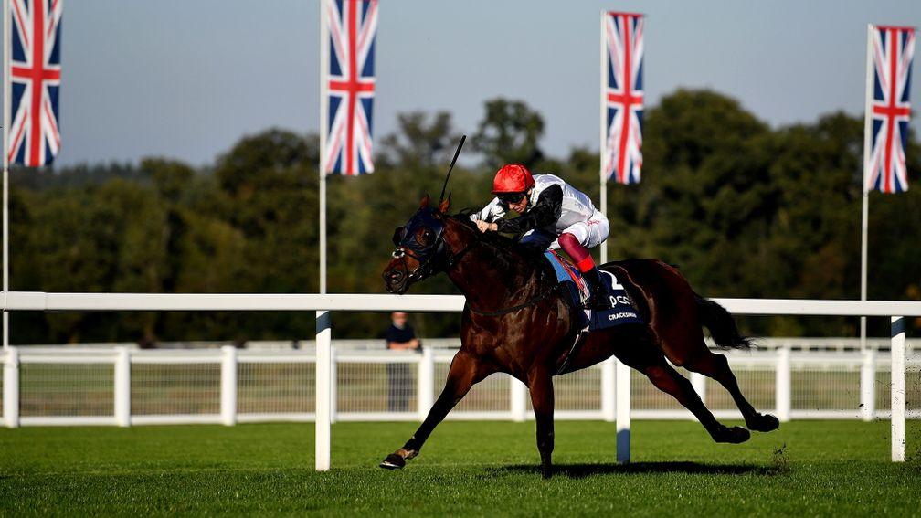 Cracksman: won his second Champion Stakes at Ascot on soft ground in October