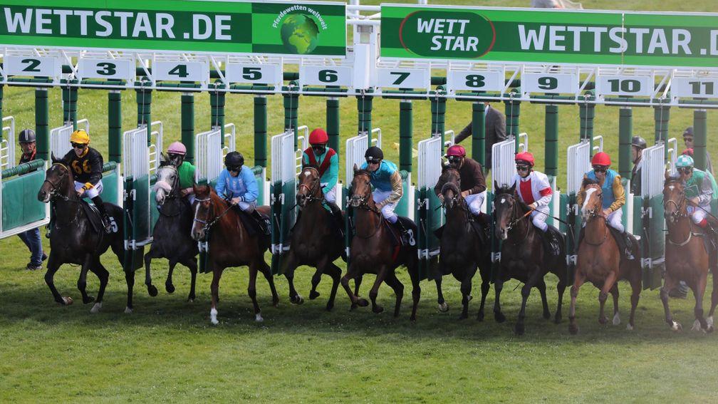 The 151st Deutsches Derby takes place at Hamburg on Sunday
