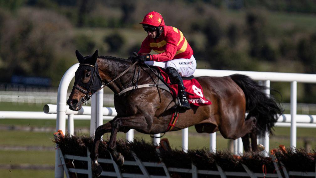 Klassical Dream: deserves to be favourite for next year's Stayers' Hurdle at Cheltenham