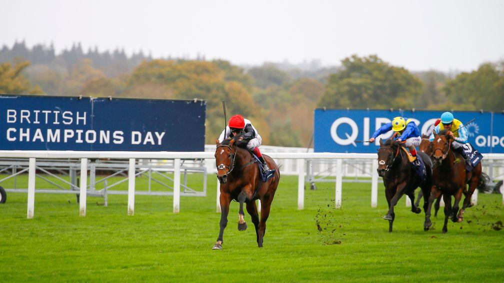 Cracksman (Frankie Dettori) at his imperious best, beating Poet's Word (yellow cap) by seven lengths in the Qipco Champion Stakes at Ascot last October