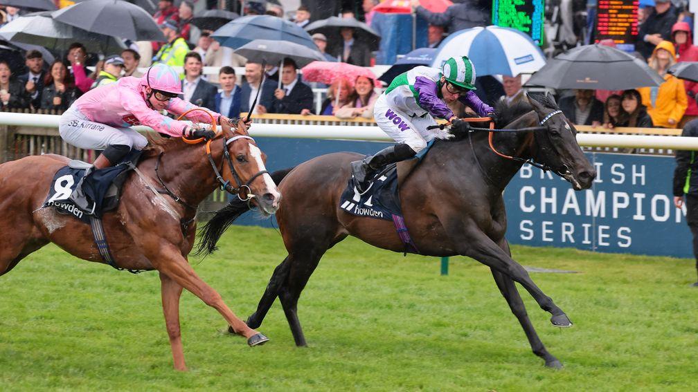 Vadream (right) gets up late to win the Palace House Stakes