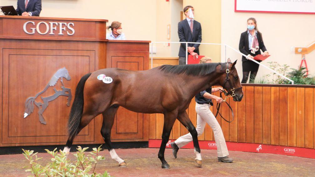 Lot 165: the Starspangledbanner colt bought by Richard Ryan for £170,000