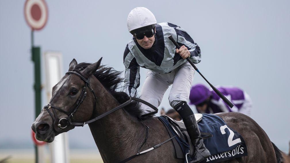 Alpha Centauri: one of three Guineas winners to tackle the Coronation Stakes