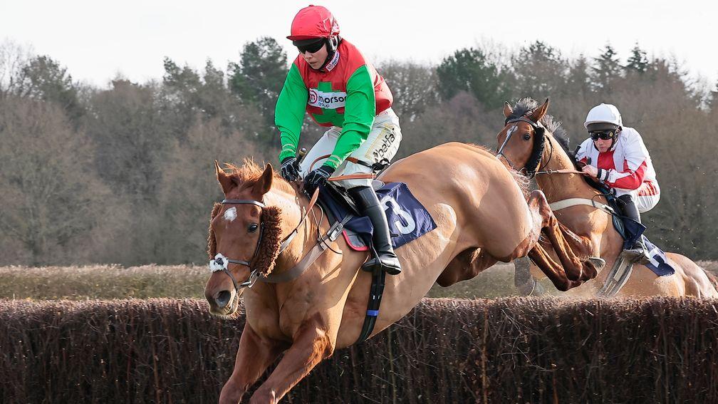 Goshen (behind): finished last of three to Quel Destin in a beginners' chase at Lingfield