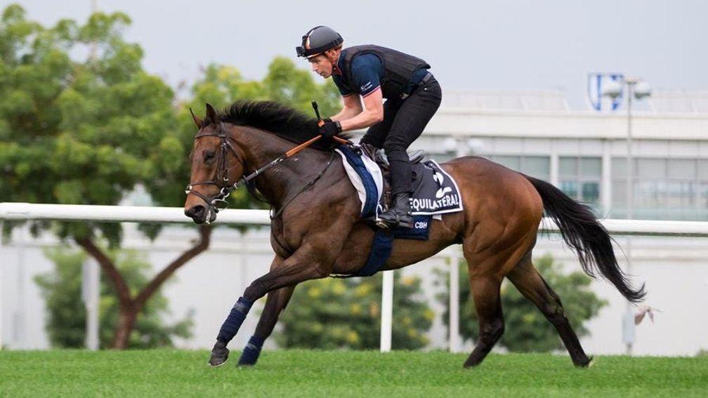 Equilateral and Jamie Insole in action on the Meydan turf last week