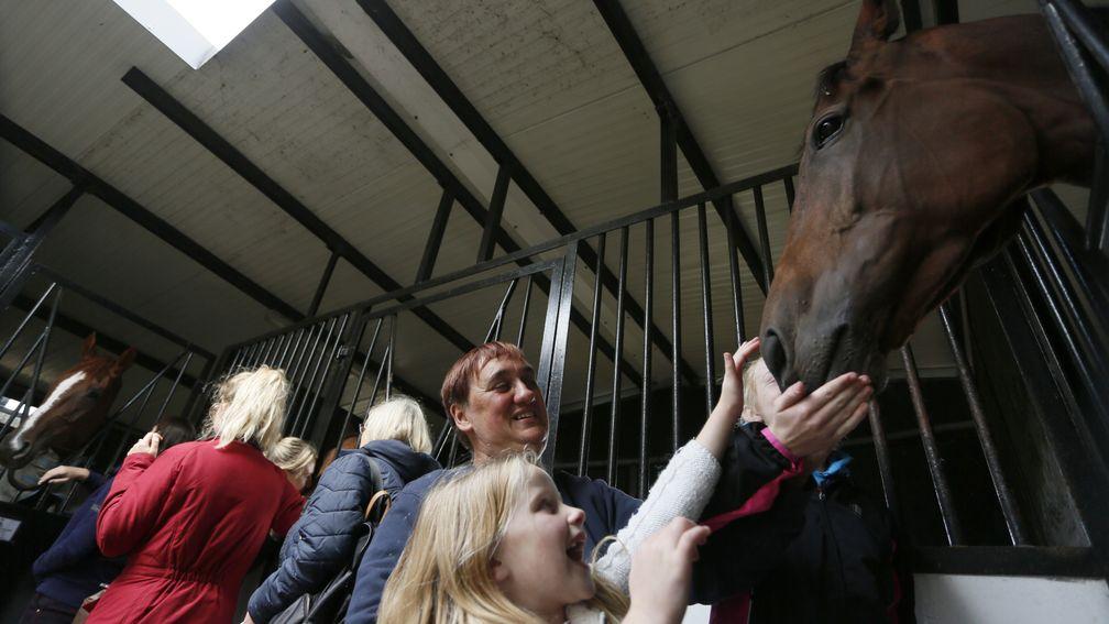 Centre of attention: Baraweez, trained by Brian Ellison, gets a pat from some excited observers