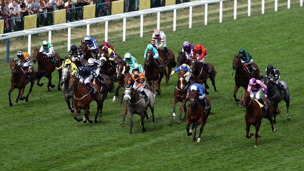 The field thunders down the track in the Wokingham, won by Bacchus (right)