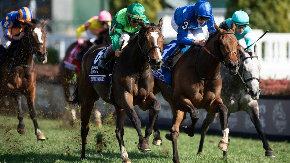 Sistercharlie (left): denies Wild Illusion in last year's Breeders' Cup Filly & Mare Turf