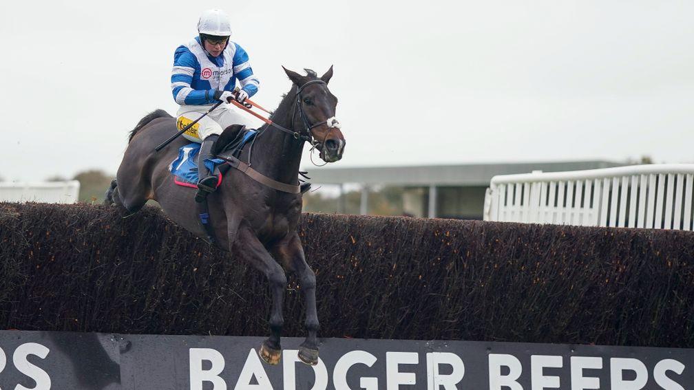 Frodon clears the last on his way to victory in the Badger Beer Chase at Wincanton in November
