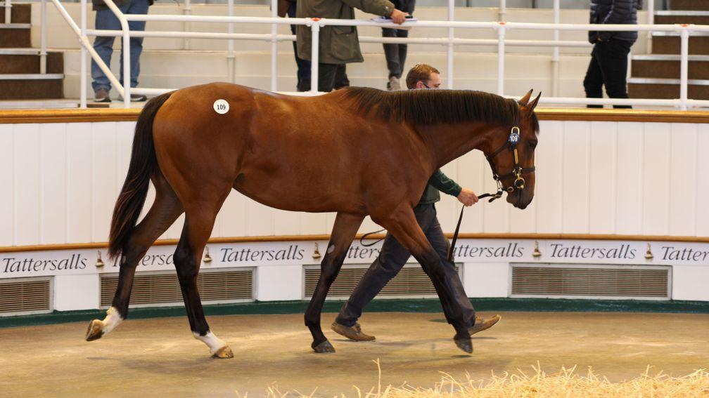 Floors Stud's Dubawi colt out of the stakes-placed Cushion makes 2,100,000gns to Anthony Stroud on behalf of Godolphin