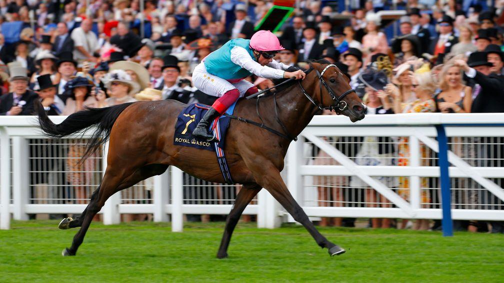 Calyx: new Guineas favourite stretches clear in the Coventry Stakes