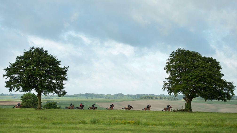 Lambourn: racing accounts for almost one in three jobs in the area
