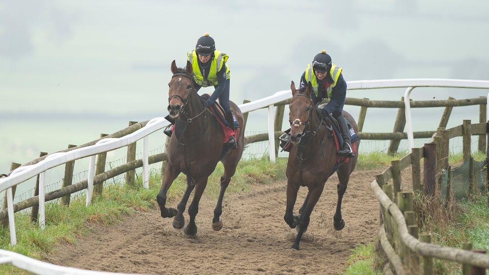 Pic D’Orhy (right): on the Ditcheat gallops with Secret Investor (left)
