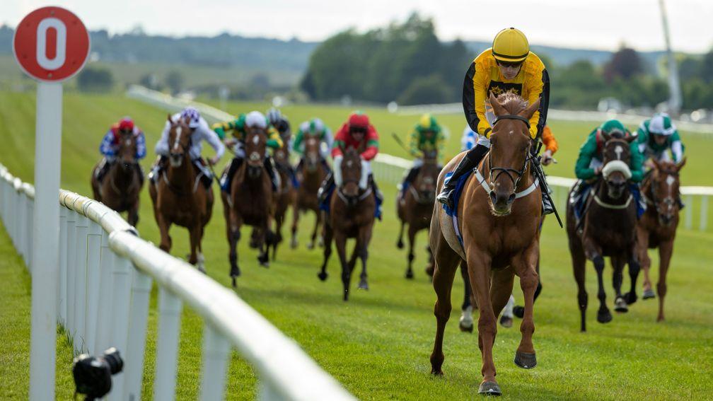 Earl Of Tyrone: favourite for Saturday's Sky Bet Ebor