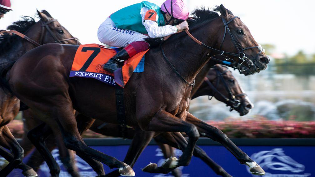 Expert Eye takes the lead in the Breeders' Cup Mile