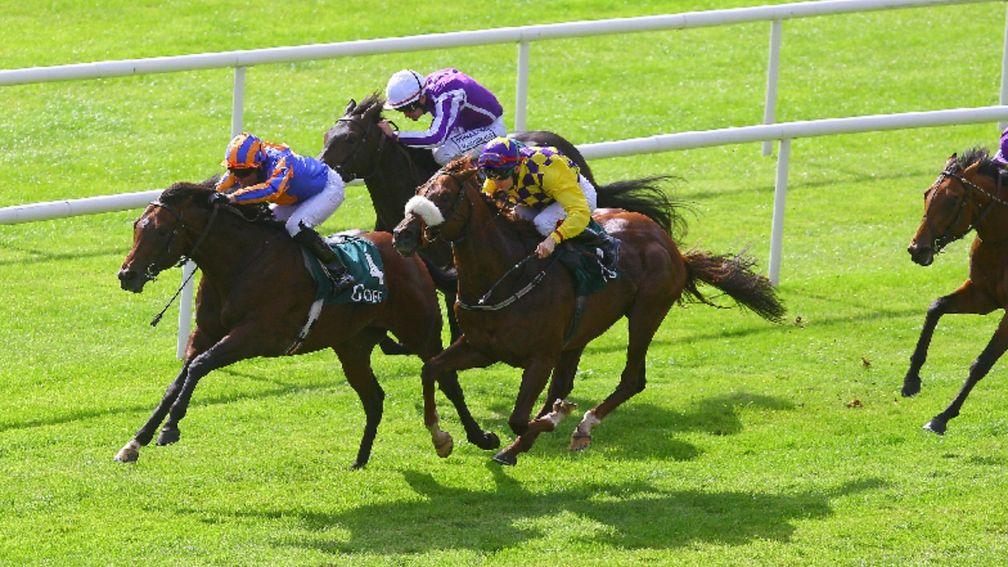 Power won two Group 1s for Aidan O'Brien, the National Stakes and Irish Guineas