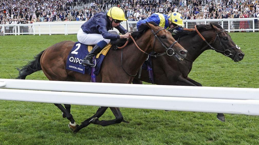 Crystal Ocean (nearside) could line up against Arc heroine Enable in the September Stakes