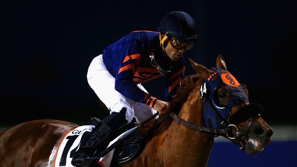 Mind Your Biscuits will entered in two Breeders' Cup races