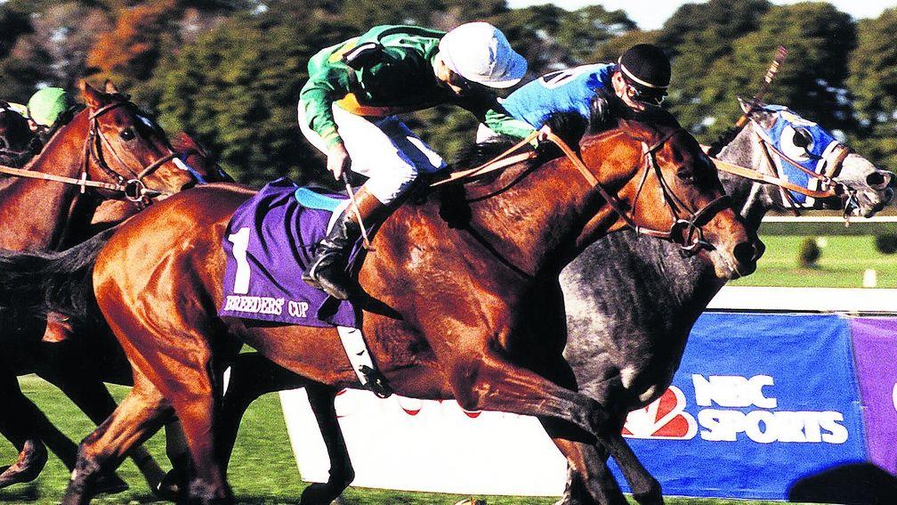Lester Piggott wins the 1990 Breeders' Cup Mile on Royal Academy from Itsallgreektome