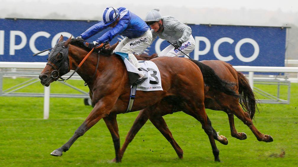 Tough going: Laraaib returns to form in the Group 3
Cumberland Lodge Stakes at Ascot