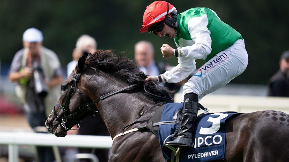 Pyledriver: was a dominant winner of the King George at Ascot