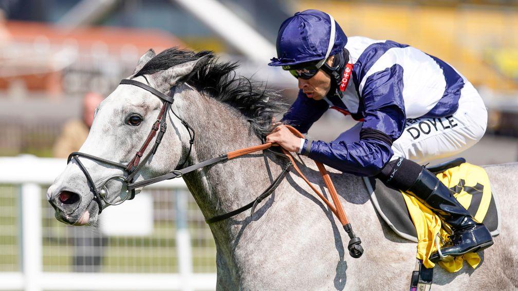 Snow Lantern: filly is prominent in the betting for Friday's Falmouth Stakes at Newmarket