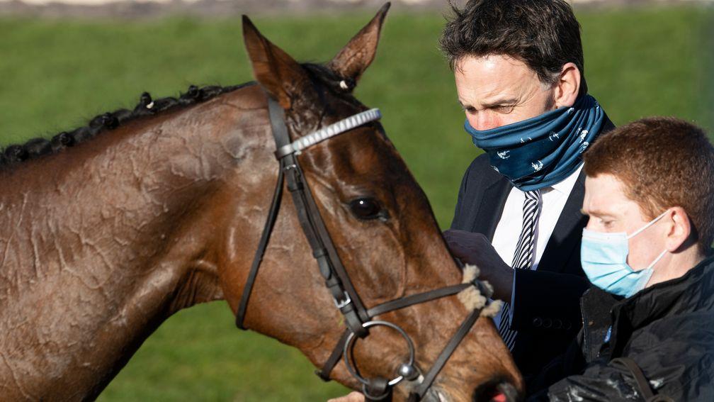 Henry de Bromhead tends to his heroine Honeysuckle after her Champion Hurdle success