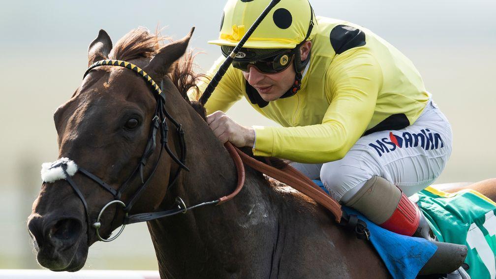 Zabeel Prince: has progressed significantly this season