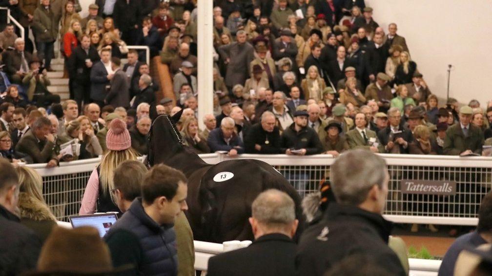 The January event will take the Tattersalls Cheltenham fixtures to seven