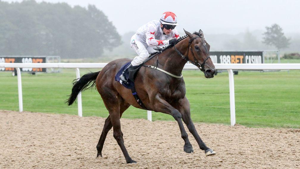 Mistress Of Love strikes on the all-weather at Newcastle