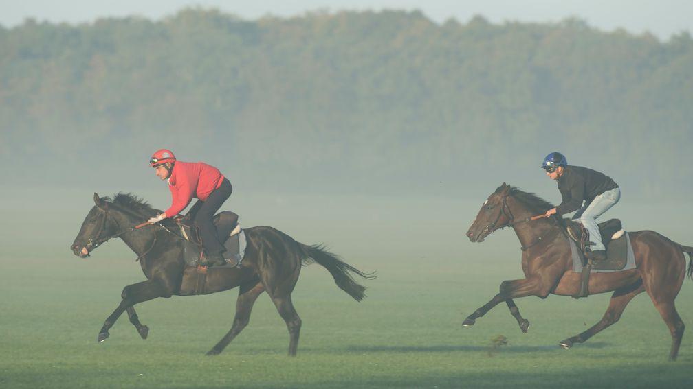 The Arthuis report says major training centres such as the one at Chantilly need to be restructured and costs lowered