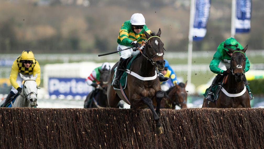 Chantry House (Nico de Boinville) lead over the last fence in the Marsh Novices' ChaseCheltenham 18.3.21 Pic: Edward Whitaker/Racing Post