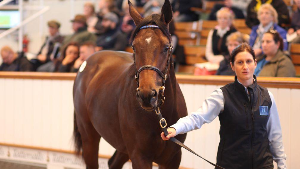 The Dubawi colt at the centre of the most dramatic exchange on day one of the Tattersalls October Yearling Sale