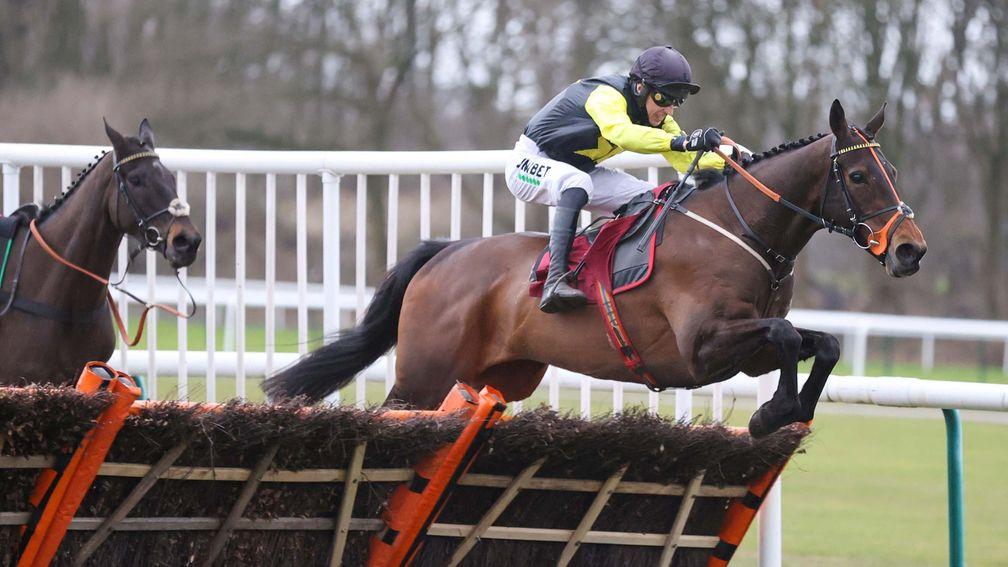 Alaphilippe: could head to the Albert Bartlett at Cheltenham following this impressive victory