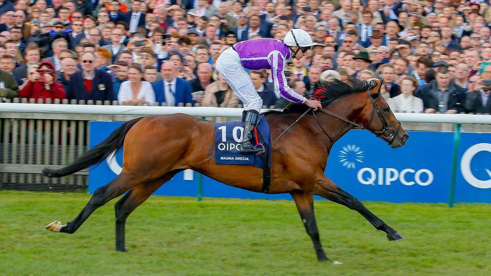Magna Grecia: 2,000 Guineas hero is on the drift