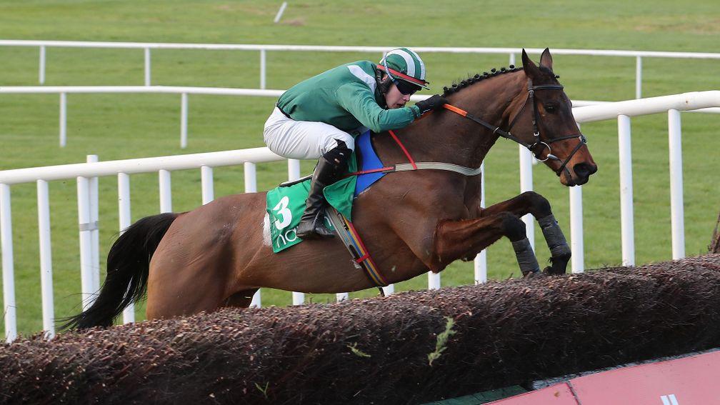 Salsify: the 15-year-old returned to action at Naas on Sunday