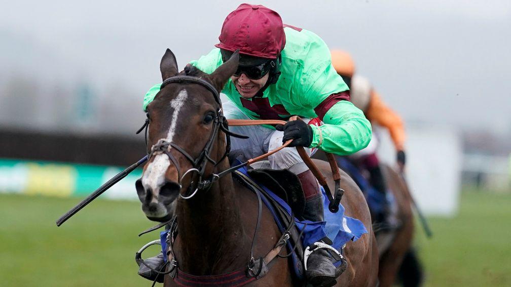 Luttrell Lad: could land a big plot later in the jumps season