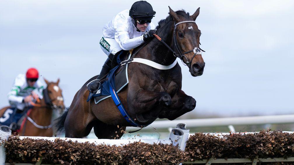 Constitution Hill: clears the last on the way to Aintree Hurdle win